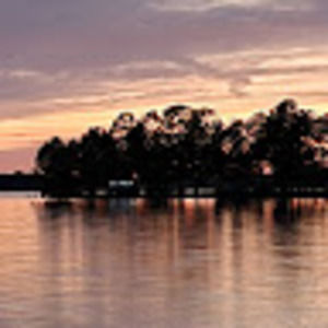 Meet your Posher, Tabitha